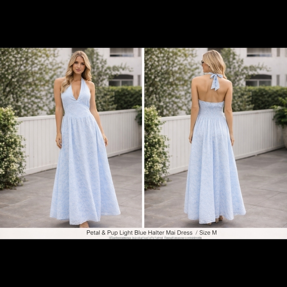 Petal & Pup Pale Blue Halter Lace Maxi Dress Size 4